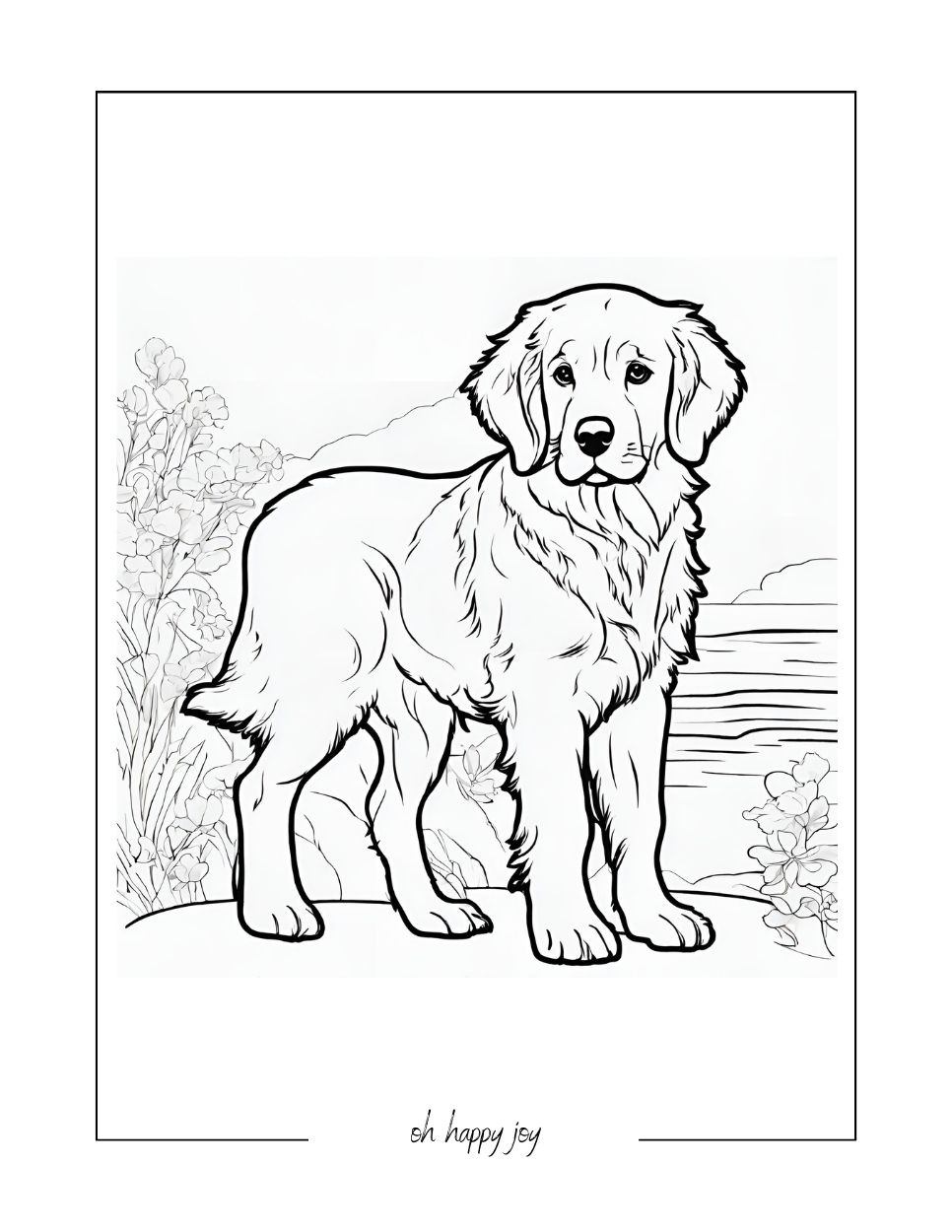 golden retriever pages to color